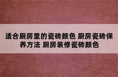 适合厨房里的瓷砖颜色 厨房瓷砖保养方法 厨房装修瓷砖颜色